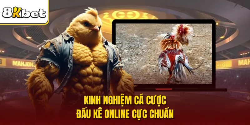 Kinh nghiệm cá cược đấu kê online cực chuẩn