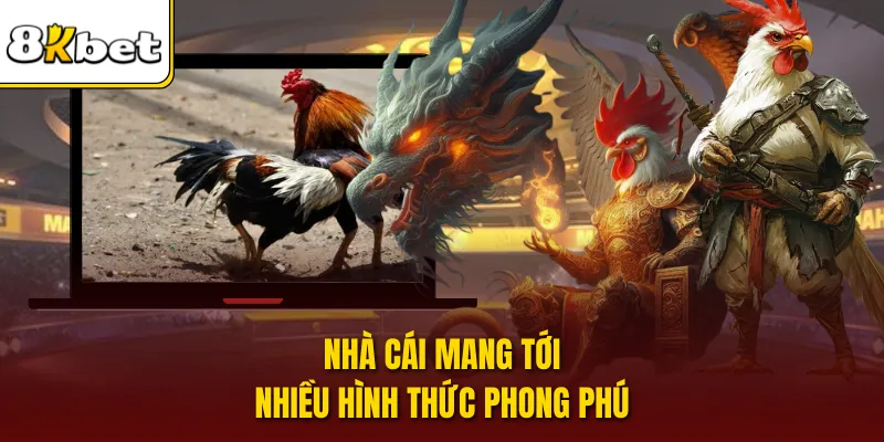 Nhà cái mang tới nhiều hình thức phong phú