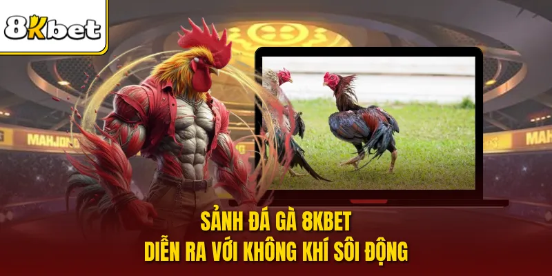 Sảnh đá gà 8KBET diễn ra với không khí sôi động
